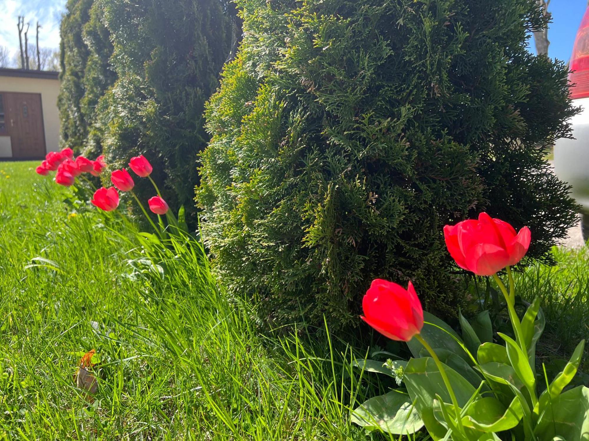 Hotel Osrodek "Pod Wydmami" Sarbinowo Esterno foto