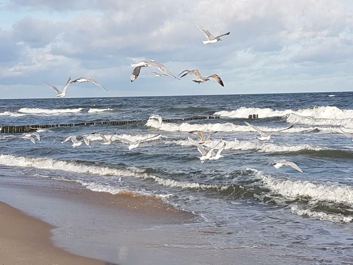 Osrodek Rodzinny "Pod Wydmami" Przy Plazy , Plac Zabaw , Rowery Sarbinowo Esterno foto